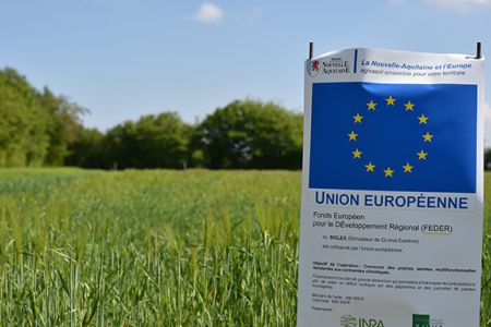 Panneau de financement européens pour concevoir des prairies résistantes aux contraintes climatiques